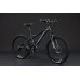 Black Wasp 4500 24" 21s