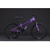 Black Wasp Fury 24" 21s
