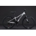 Black Wasp Fury 26" 21s
