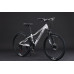Black Wasp Fury 26" 21s