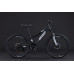 Black Wasp Fury 24" 21s