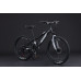 Black Wasp Fury 24" 21s