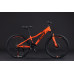 Black Wasp Fury 24" 21s
