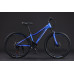 Black Wasp Fury 26" 21s