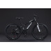 Black Wasp Prime 24" 7s